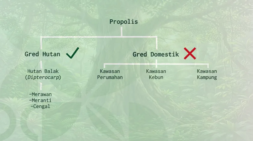 Poster Propolis Gred Hutan